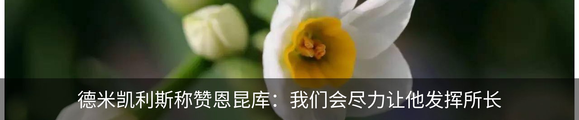 资讯动态