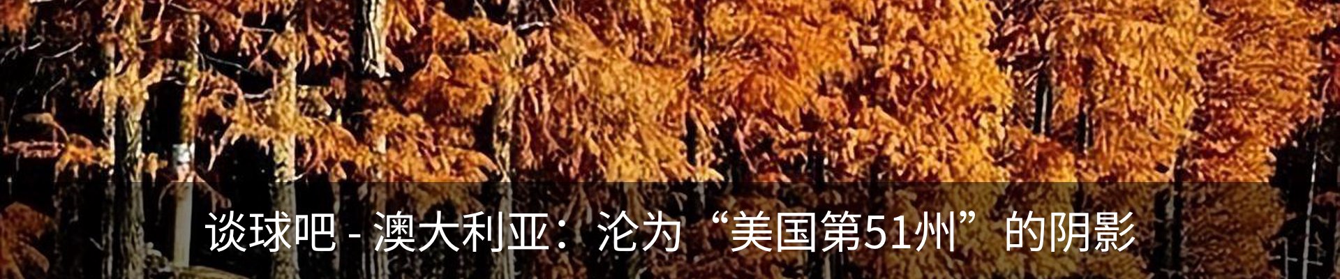 资讯动态